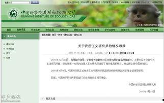 昆明校园爆料视频曝光,昆明校园爆料视频引发热议