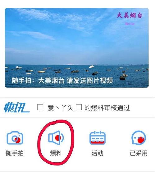 新闻爆料找哪个电视频道,揭秘事件真相，锁定XX频道深度解析  第3张