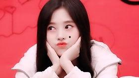 小鞠爆料解说大全最新,揭秘娱乐圈幕后故事与精彩瞬间