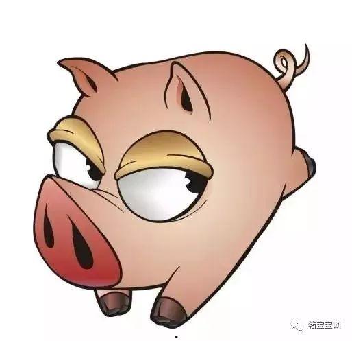 娱乐吃瓜酱肥肥猪的日常,笑料百出，趣味横生  第2张