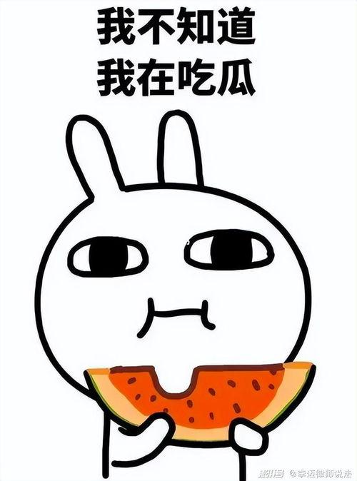 娱乐吃瓜酱肥肥猪的日常,笑料百出，趣味横生  第3张