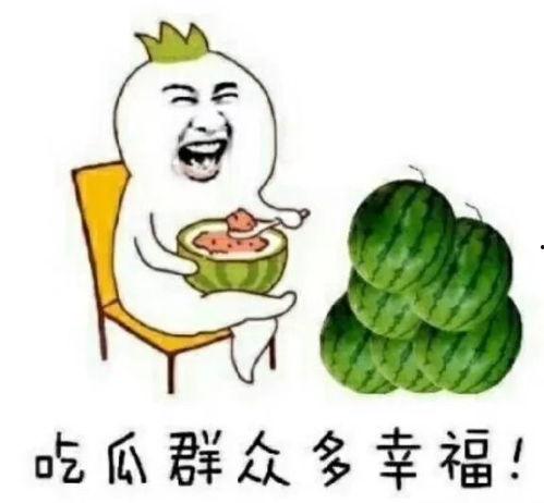 娱乐瓜都是在哪里吃的